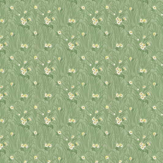 Celandine Daisy Floral