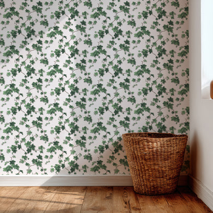 Engel Ivy Botanical