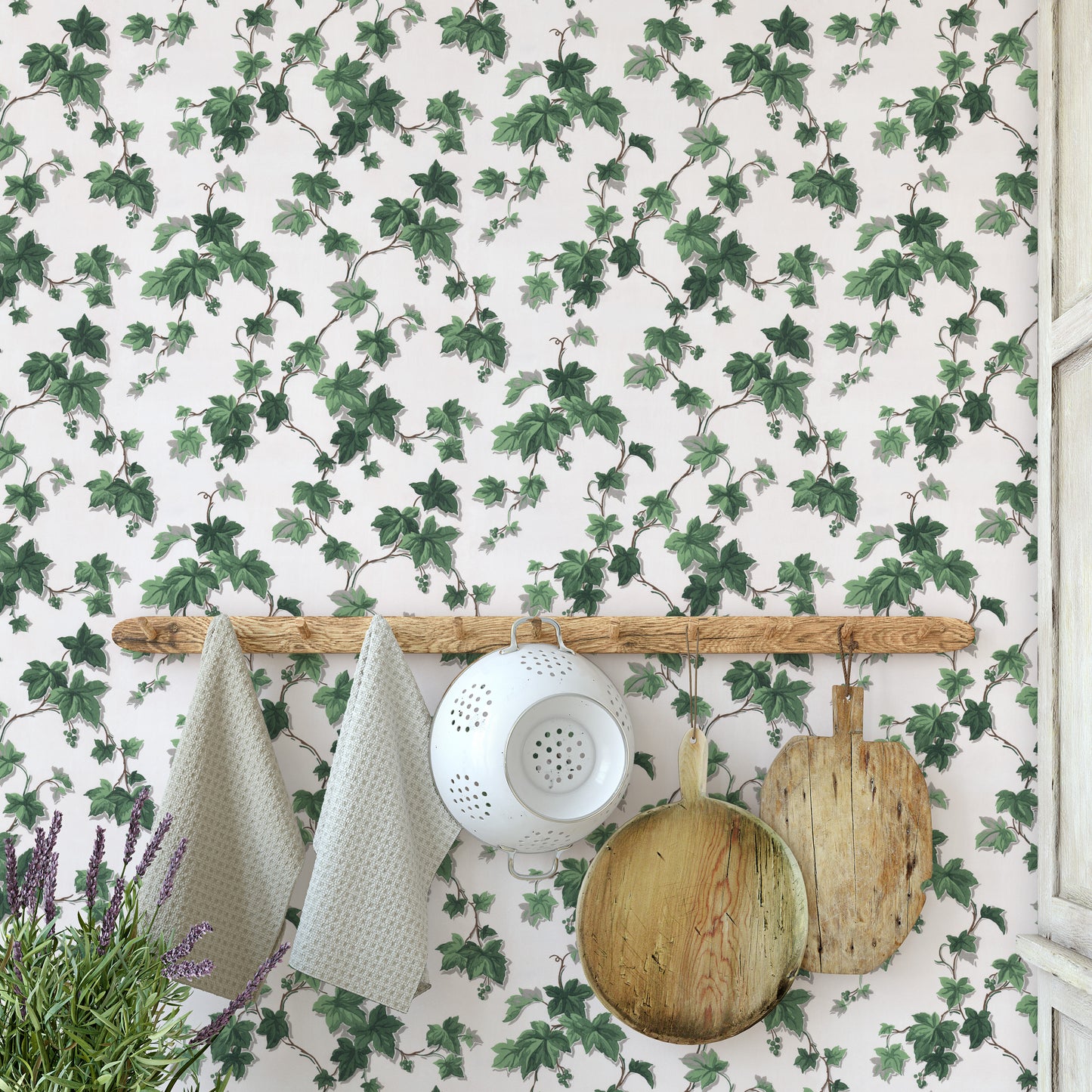 Engel Ivy Botanical