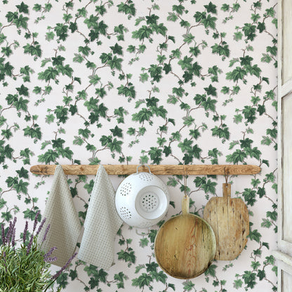 Engel Ivy Botanical