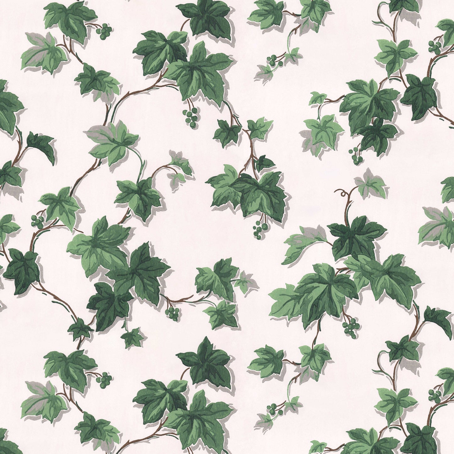 Engel Ivy Botanical