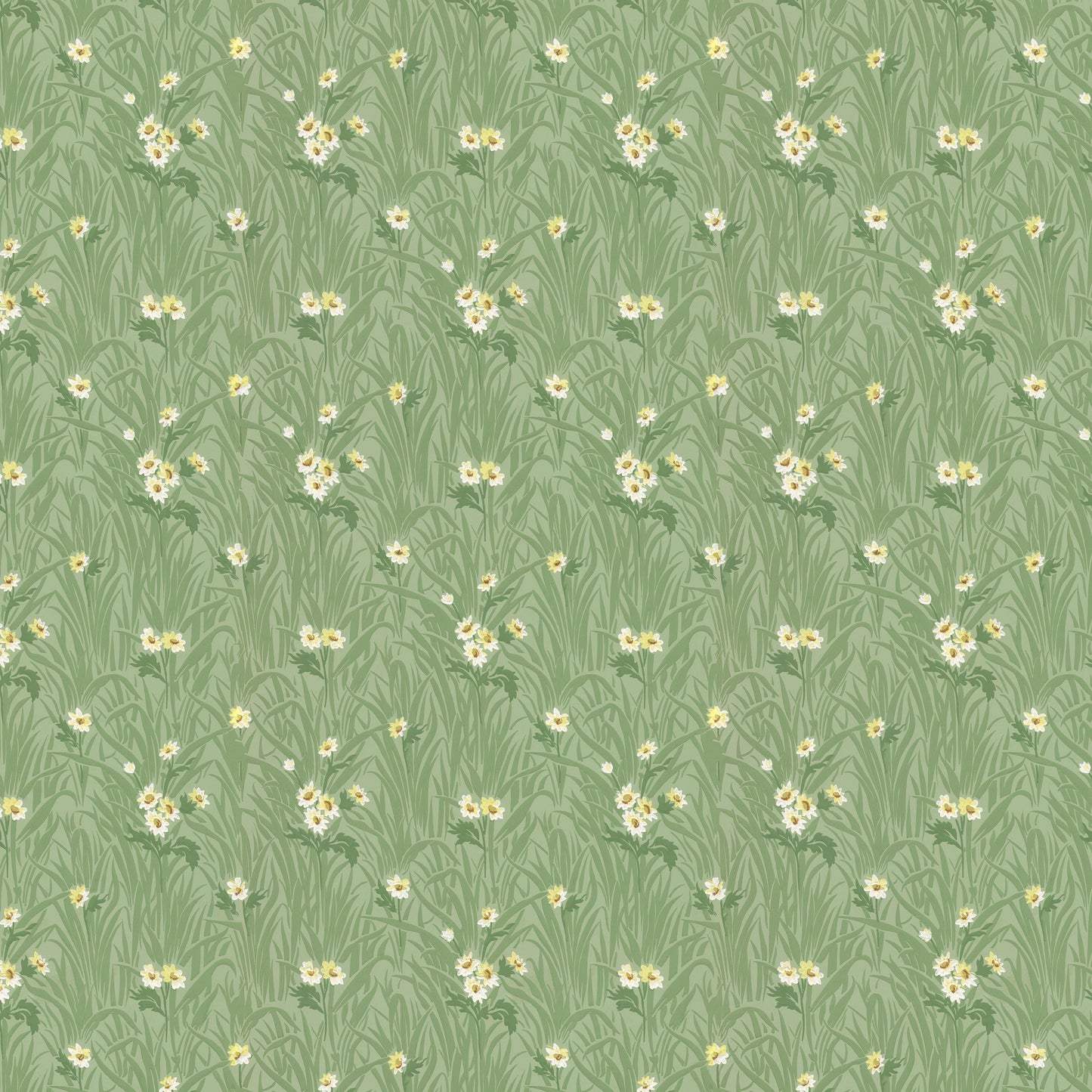 Celandine Daisy Floral