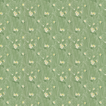 Celandine Daisy Floral