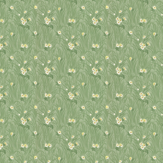 Celandine Daisy Floral