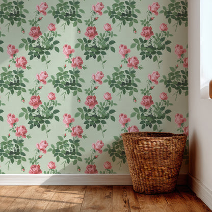 Margot Long Stem Roses Floral