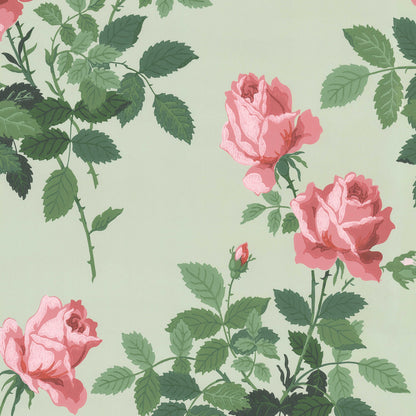 Margot Long Stem Roses Floral