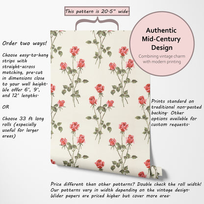 Ambrosia Roses Floral