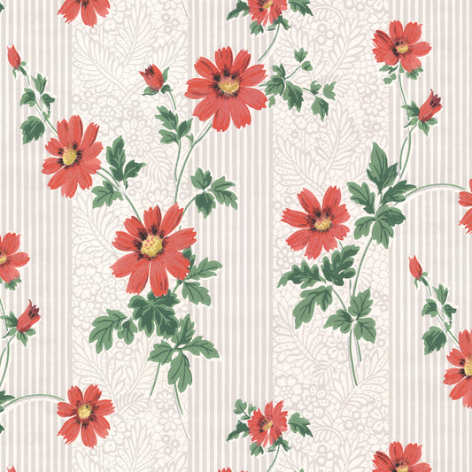 Presley Red Cosmos Floral