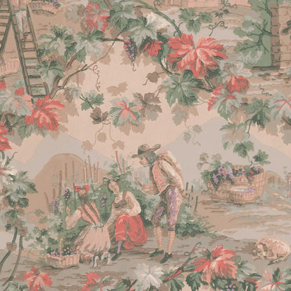 Piedmont Vineyard Scenic