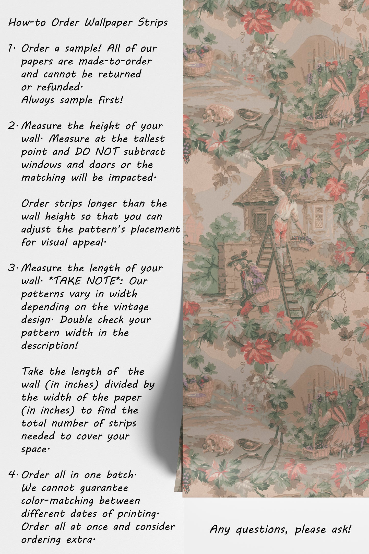 Piedmont Vineyard Scenic