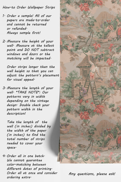 Piedmont Vineyard Scenic