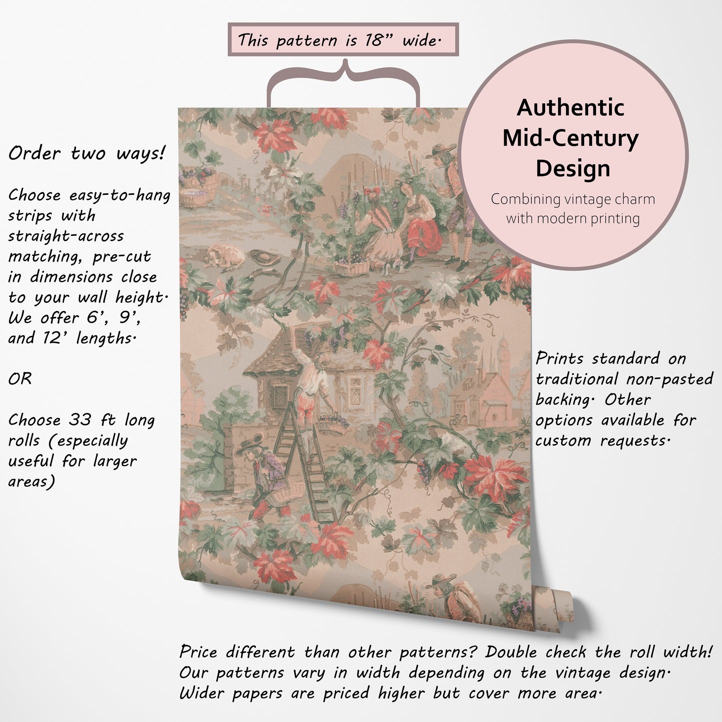 Piedmont Vineyard Scenic