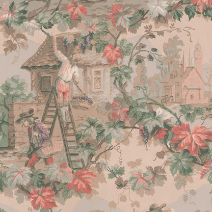 Piedmont Vineyard Scenic