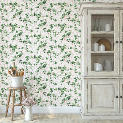 Greystone Ivy Kitchen