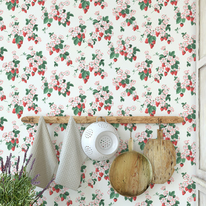 Everbearing Kitchen Strawberries