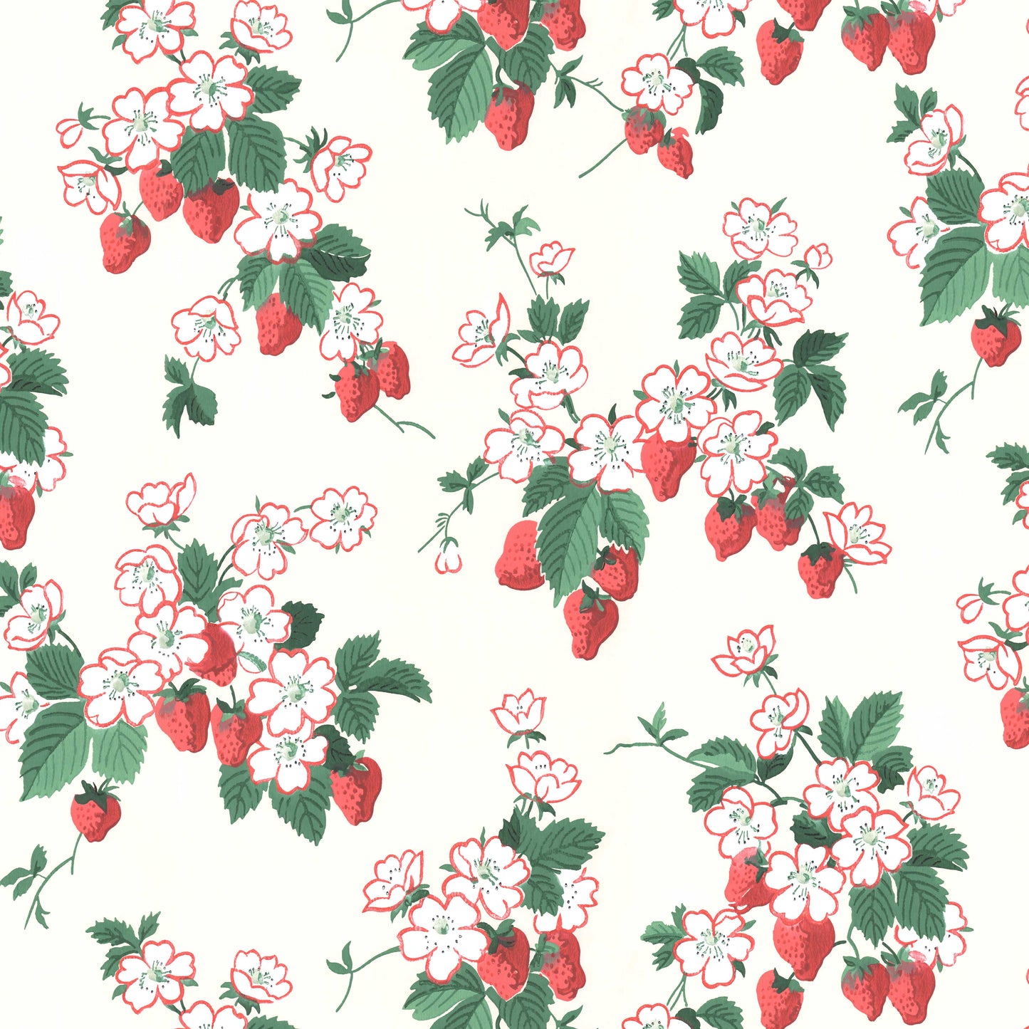 Everbearing Kitchen Strawberries