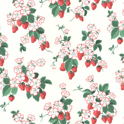 Everbearing Kitchen Strawberries