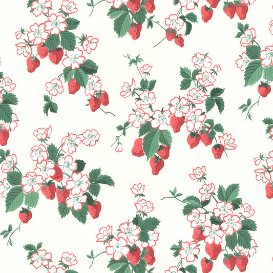 Everbearing Kitchen Strawberries